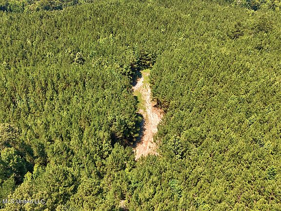 2nd image of NW Ben Briggs Rd