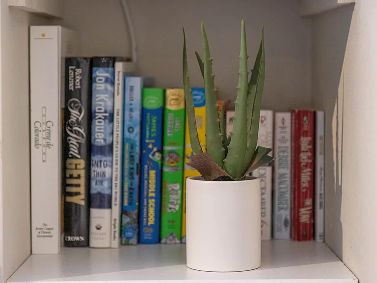Reading Area