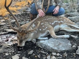 0 County Road 310, Rocksprings, TX 78880