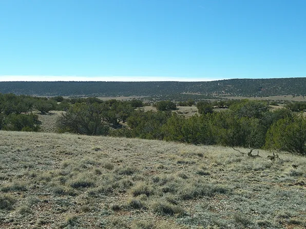 4523 Stirrup Rd, Snowflake, AZ 85937