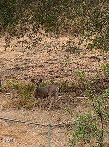 27326 Oak Summit Rd, Agoura Hills, CA, 91301