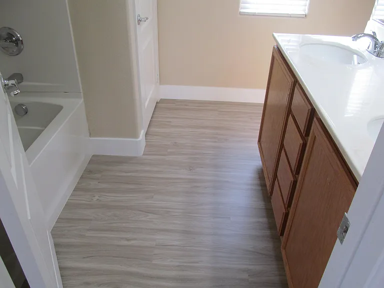 3336 Popcorn Flower St — Photo 24