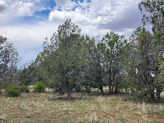 5th image of 97C W Rattlesnake Rd