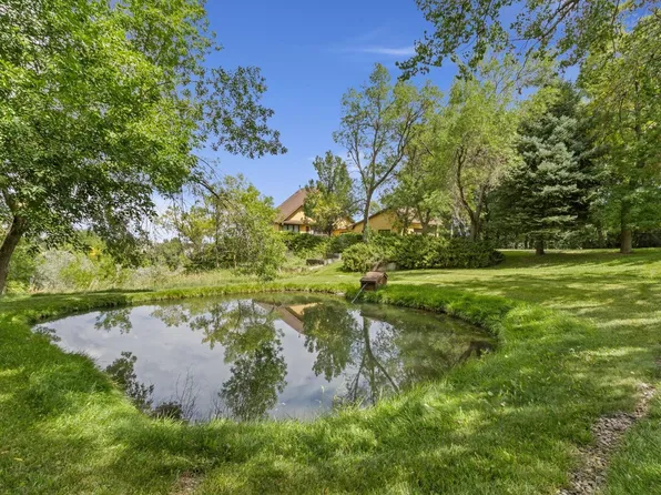 5153 Single Tree Dr, Loveland, CO 80537
