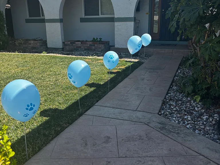 418 Aragon Pl — Photo 13