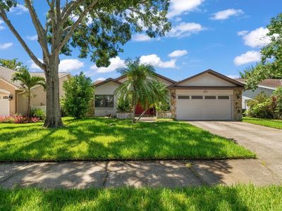 1455 Coastal Pl, Dunedin, FL, 34698