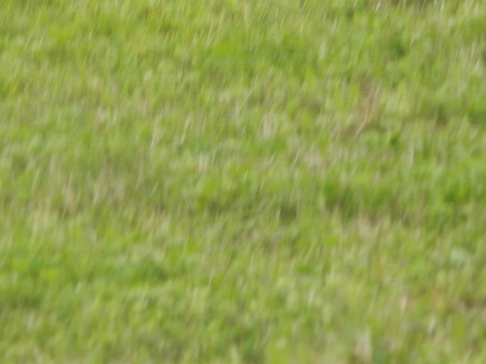 1st image of (Undisclosed Address)