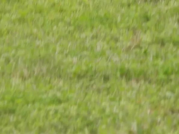 (undisclosed Address), Little Rock, AR 72206