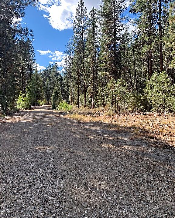 1st image of 31 Lodgepole Ln