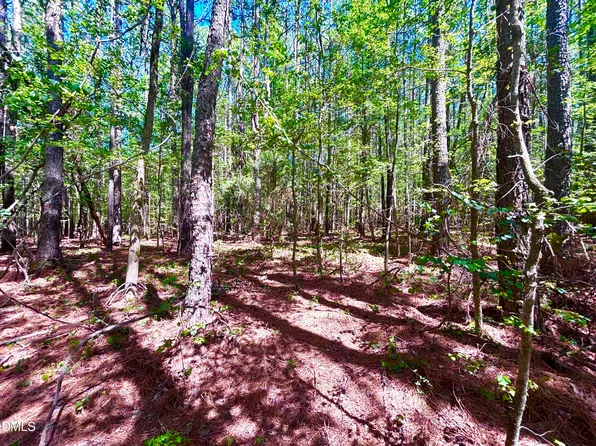 0 Pool Rock Plantation Ln, Henderson, NC 27537