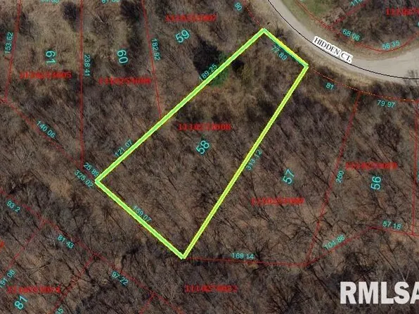 58 Hidden Ct, Dahinda, IL 61428