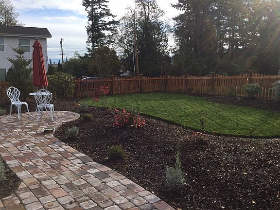 New sod lawn