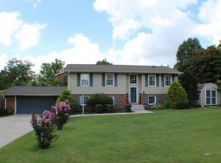 203 Cedar Branch Rd, Kingsport, TN 37664