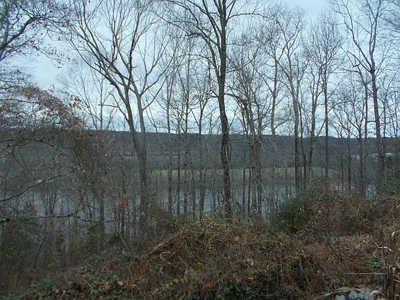 5th image of 1001 Cumberland View Dr