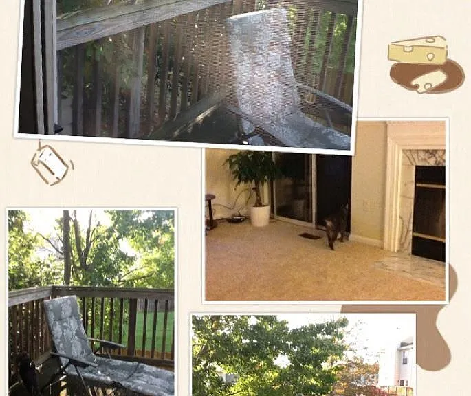 7820 Greenbrook Dr — Photo 10