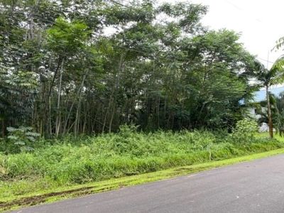 Nehu St Lot 1353, Pahoa, HI, 96778