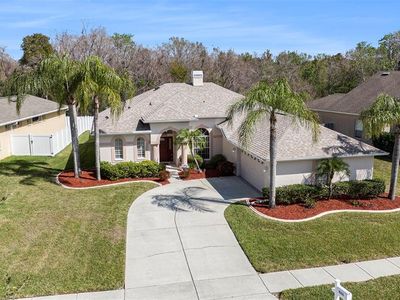 4215 Whittner Dr, Land O Lakes, FL, 34639