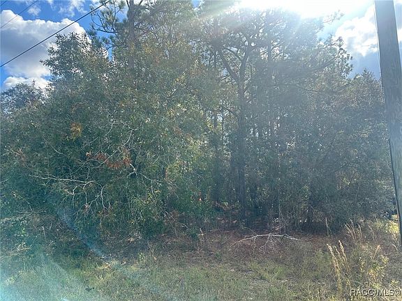 3rd image of 7779 N Cricket Dr