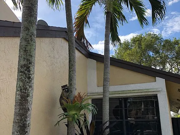 260 SW 97th Ave, Hollywood, FL 33025