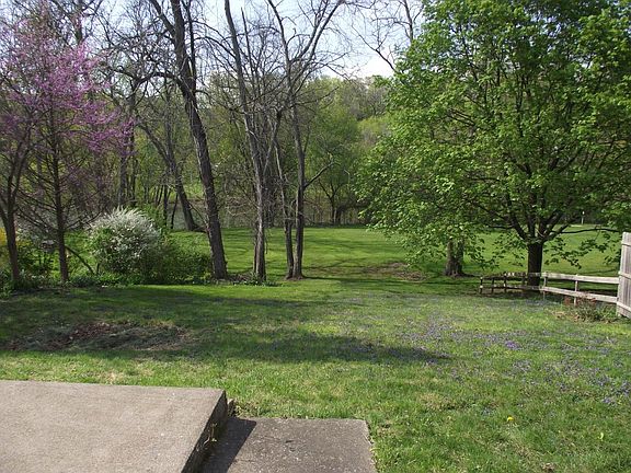 back yard