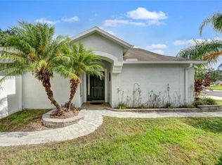 4616 McBrine Ct, Land O Lakes, FL 34639