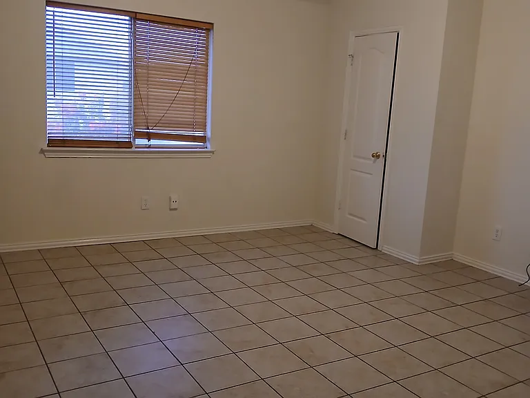 Media room or bedroom
