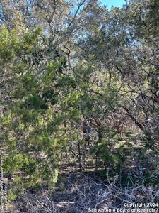 335 & 347 THUNDERHEAD ST LOT 251, Spring Branch, TX, 78070