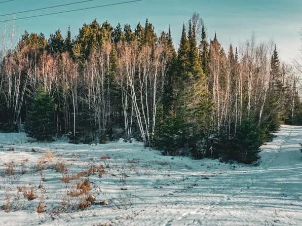 PARCEL 17 Highway 115, Tower, MN 55790