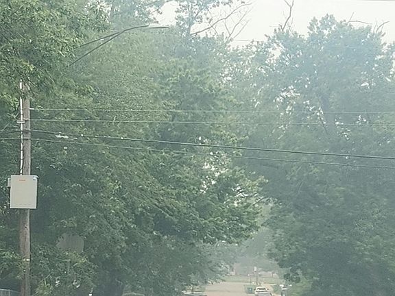 4th image of 1053 Myrtle Ave