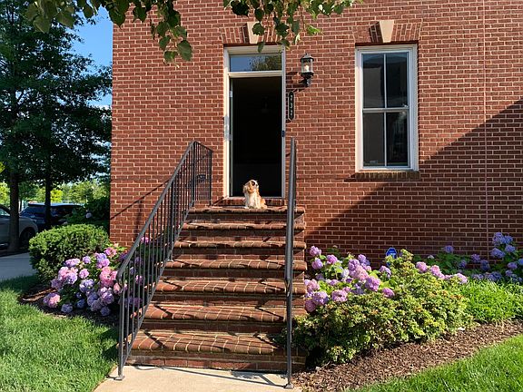 3rd image of 737 Bluemont Ave