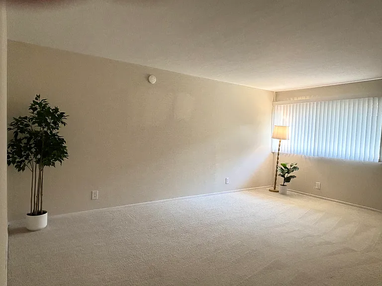 Unit 211B:
Bright and spacious living room