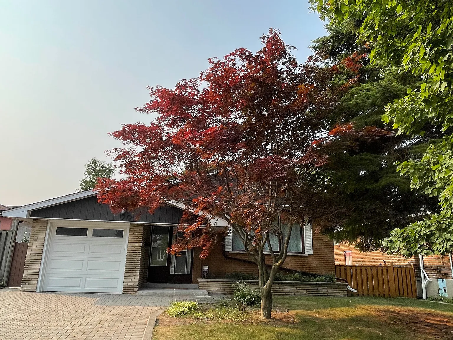 3 bed, $1,900 — Photo 1