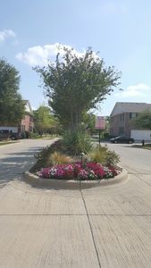 3218 Bedford Rd, Bedford, TX, 76021