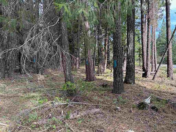4th image of Along Hwy #89