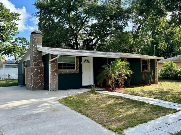 4208 E Alene Dr, Tampa, FL 33617