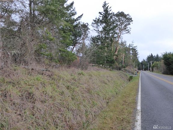 Looking SE down Cape George Rd. near the front of the property.