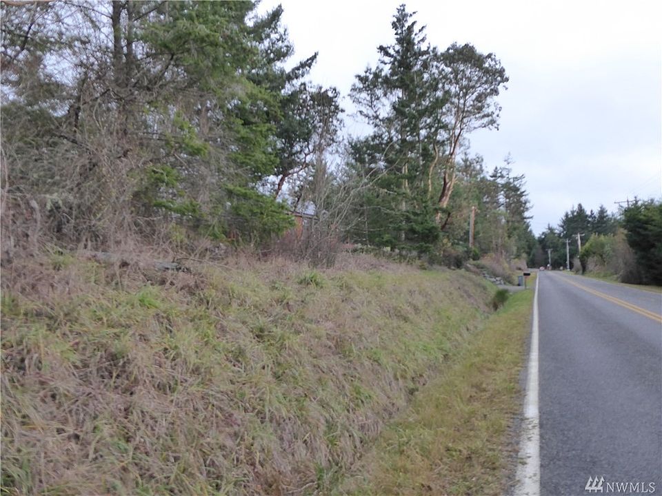 Looking SE down Cape George Rd. near the front of the property.