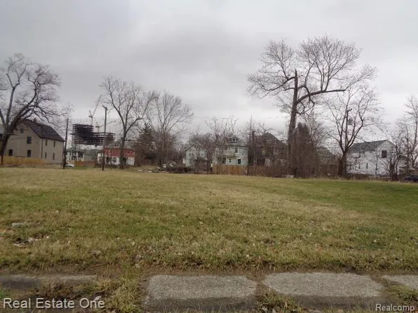 6148 Rosa Parks Blvd, Detroit, MI 48208