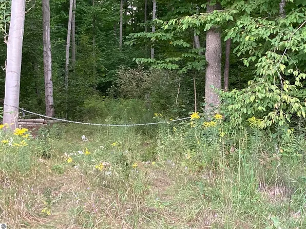 0 W Rhoby Rd, Lake City, MI 49651