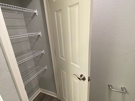 5th image of 11609 Saw Palmetto Ln