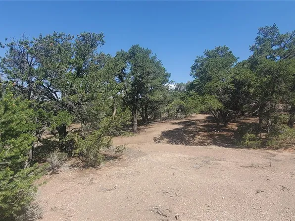 Lot 1412 Michaels Road, Fort Garland, CO 81133
