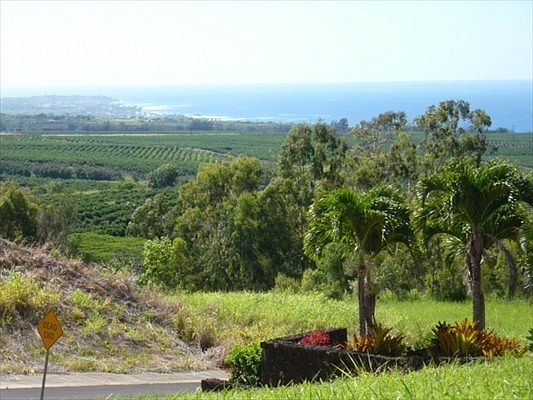 1st image of Kua Aina St Lot 41
