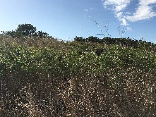 2nd image of Kilo Moana Pl Lot 35