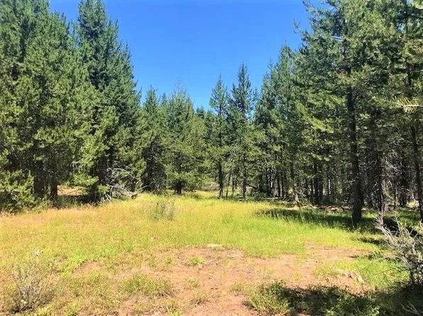 820-27N09B Beckwourth Taylorsville Rd, Taylorsville, CA 95983