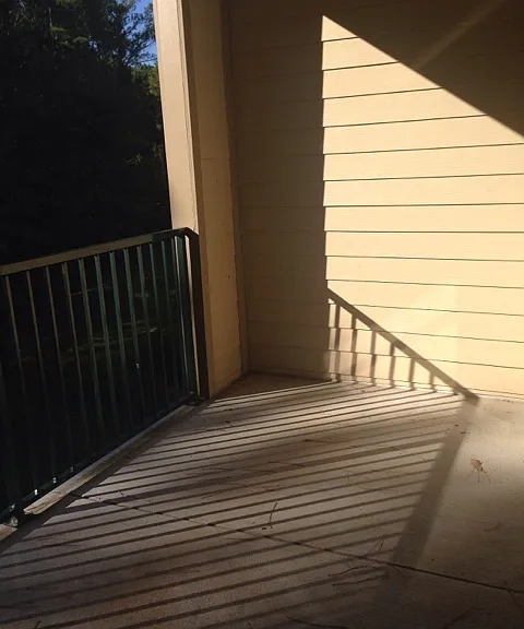7800 Point Meadows Dr #1523 — Photo 11