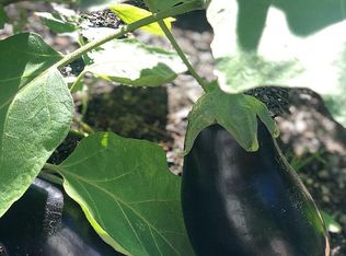 76 Lowell Rd, Windham, NH 03087