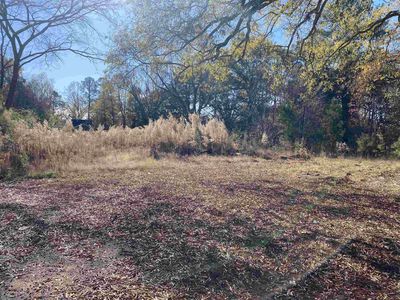 514 E Juniper Ave, Wake Forest, NC, 27587
