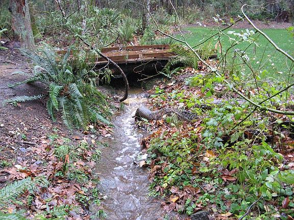Bridge & Stream