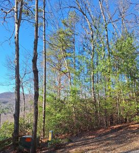 10 Moon Shadow Trl, Blairsville, GA, 30512