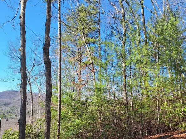 10 Moon Shadow Trl, Blairsville, GA 30512